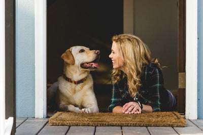 How many treats is too many to feed your dog?