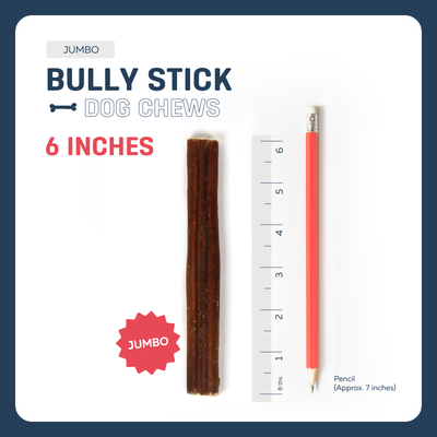 6" JUMBO BULLY STICKS