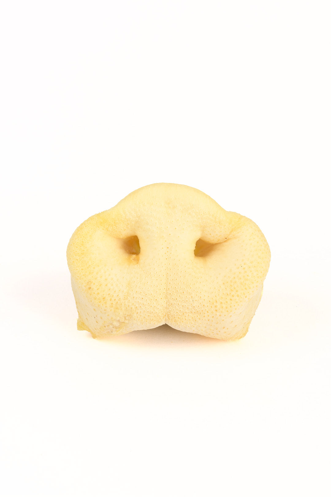 PIG SNOUTS