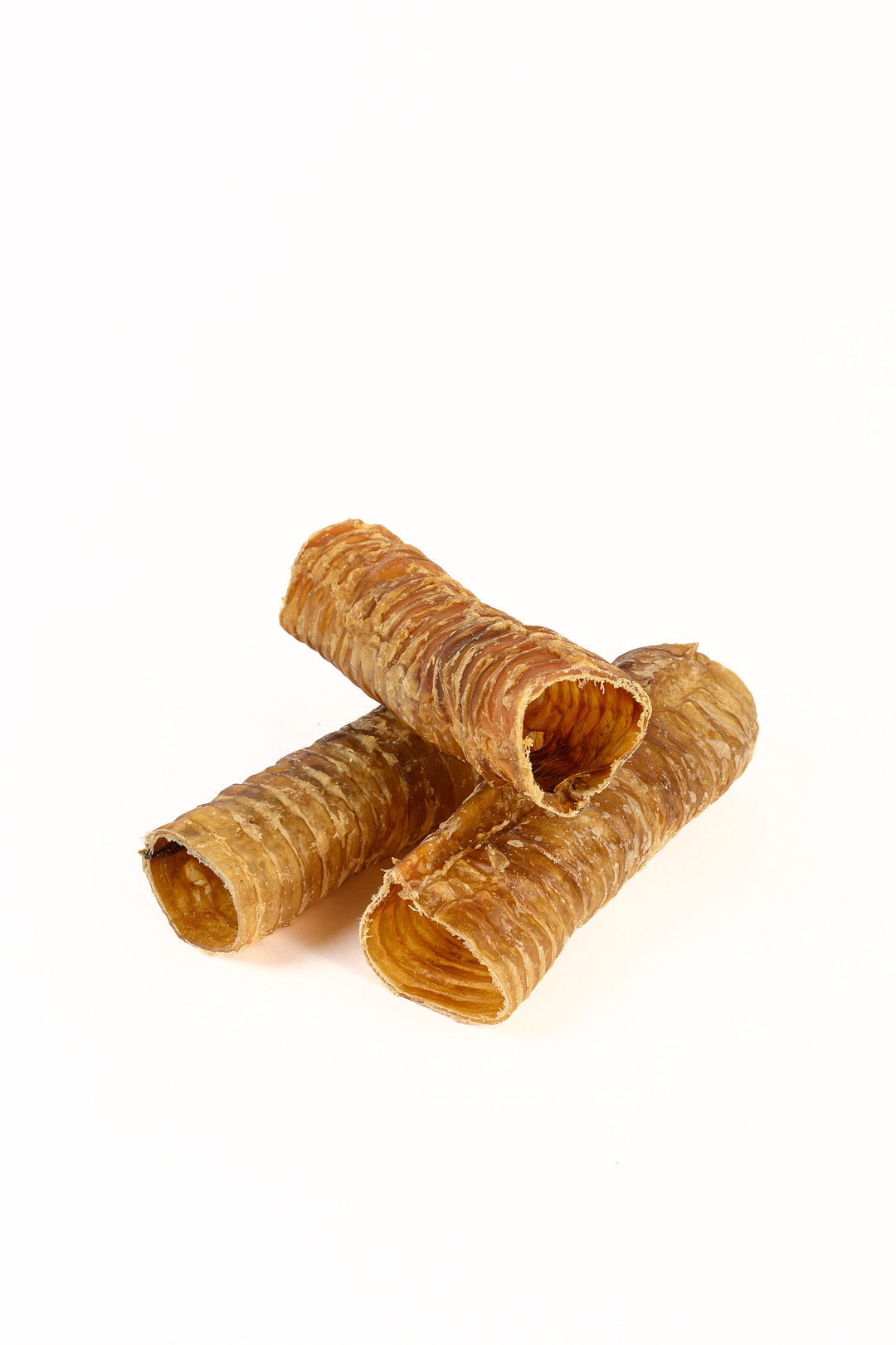 TRACHEA TUBE
