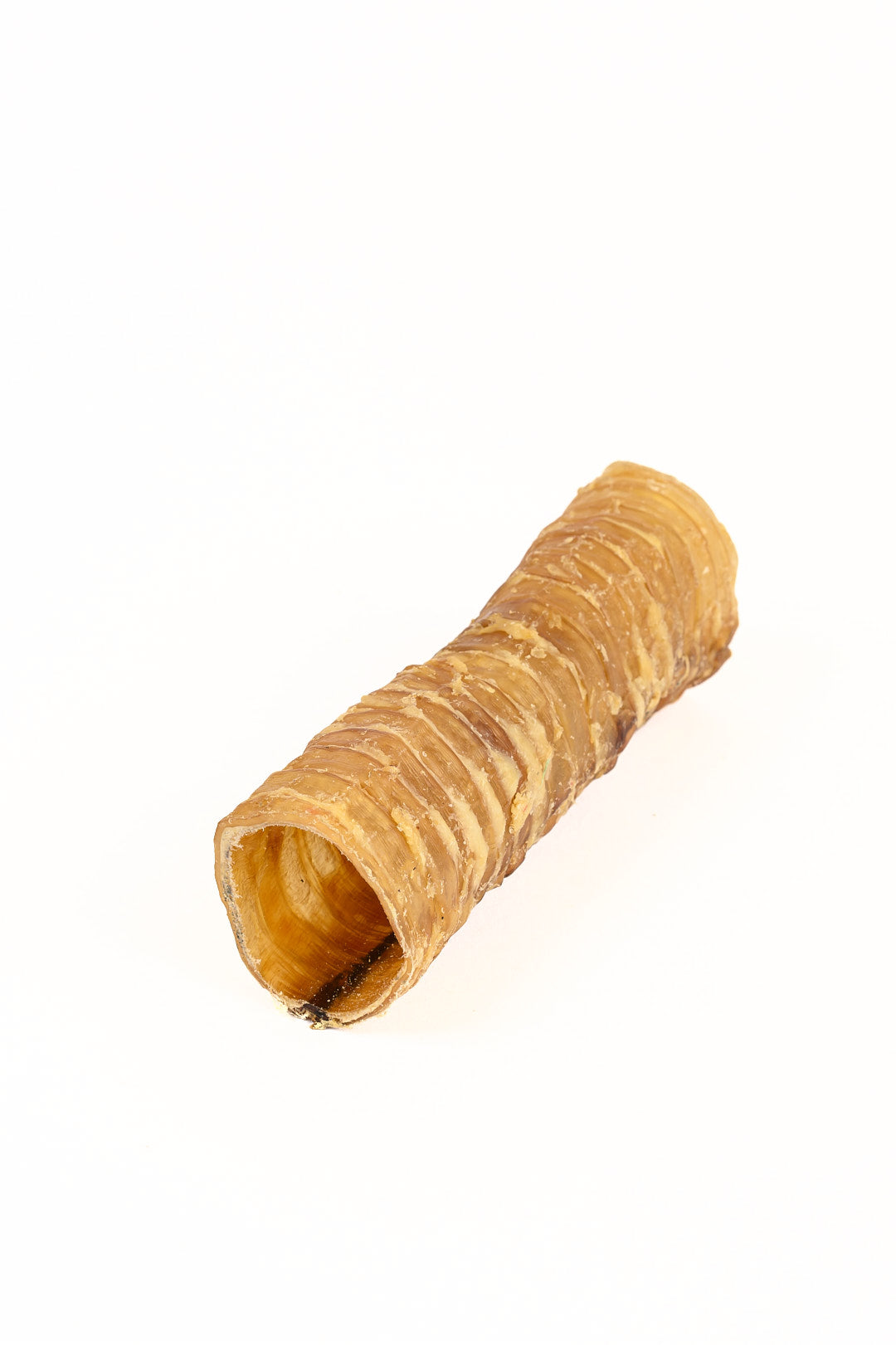 TRACHEA TUBE