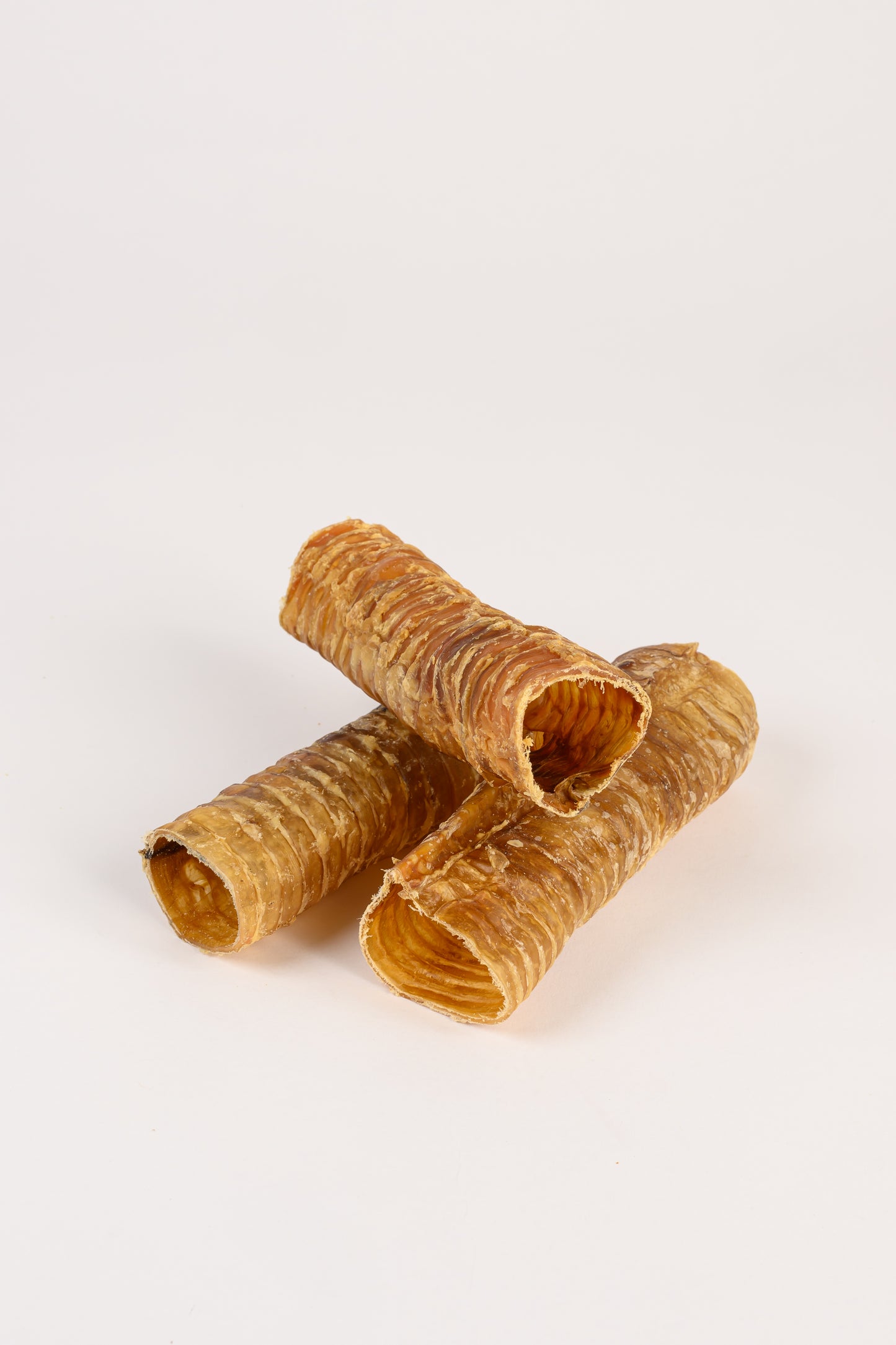 TRACHEA TUBE