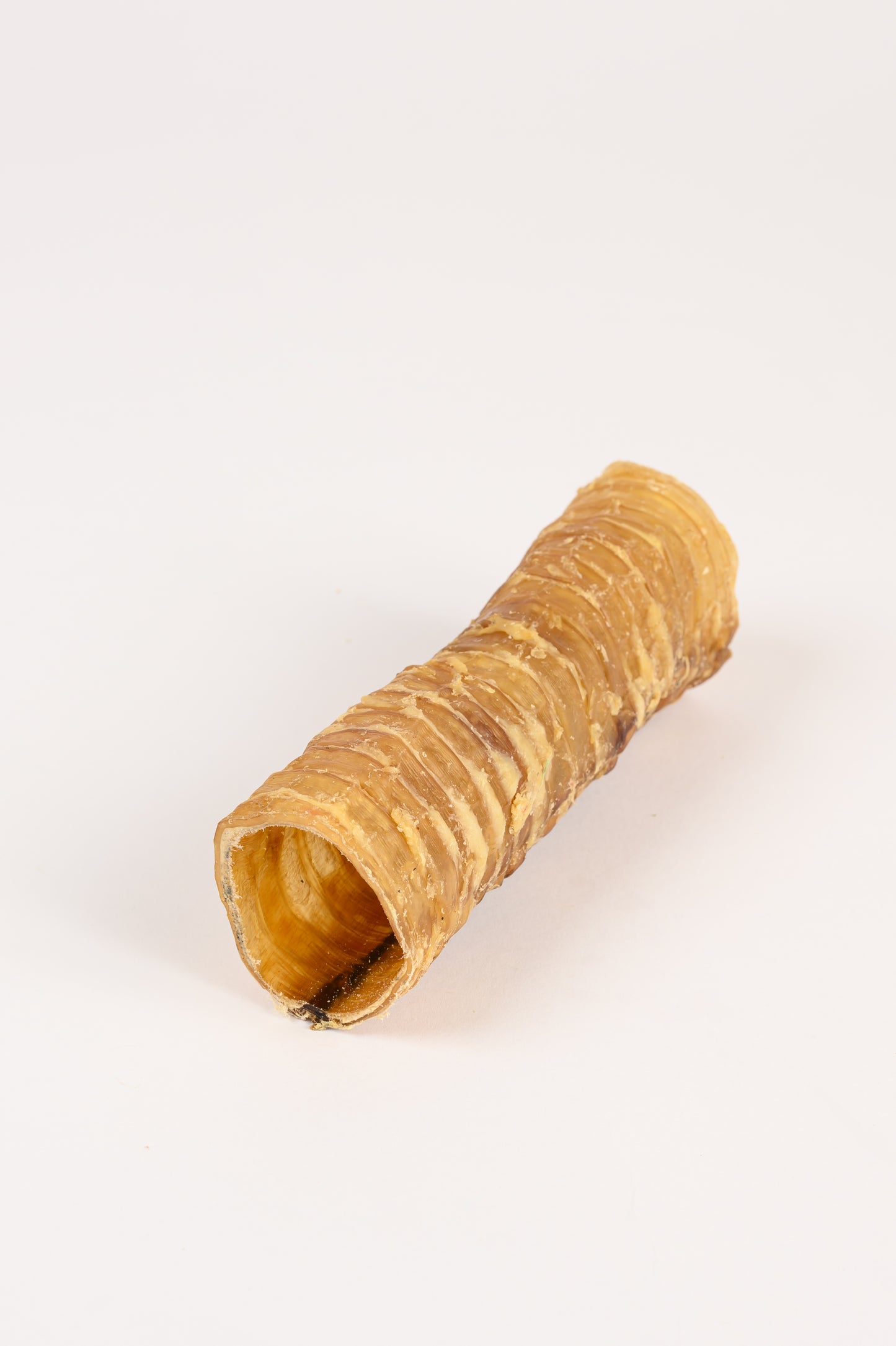 TRACHEA TUBE
