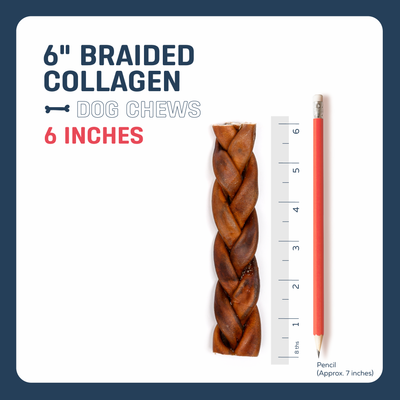 6" BRAIDED COLLAGEN
