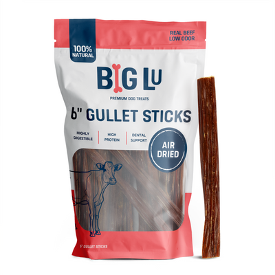 6" BEEF GULLET STICK