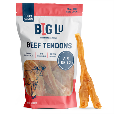 BEEF TENDONS