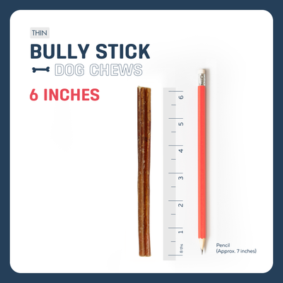6" THIN BULLY STICKS