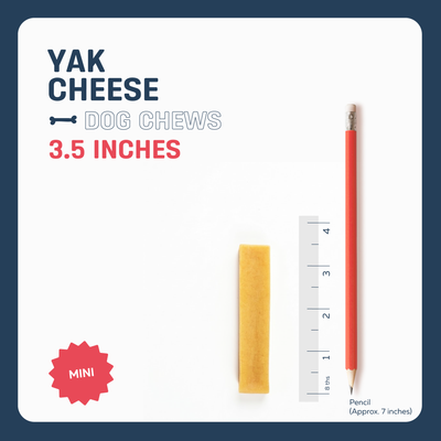 MINI YAK CHEESE