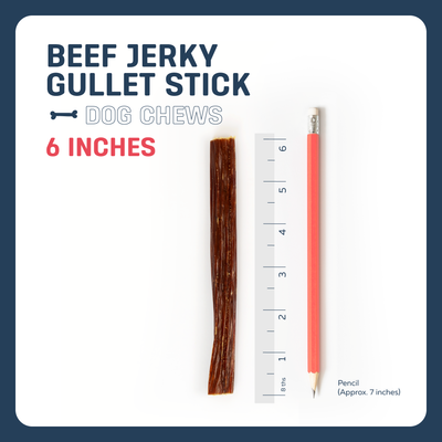 6" BEEF GULLET STICK